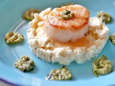 Scallop with Celery Root Puree and Fresh Herbs Sauce